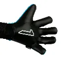6.webp