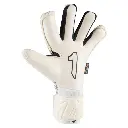 53.webp