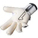 101.webp