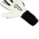 41.webp