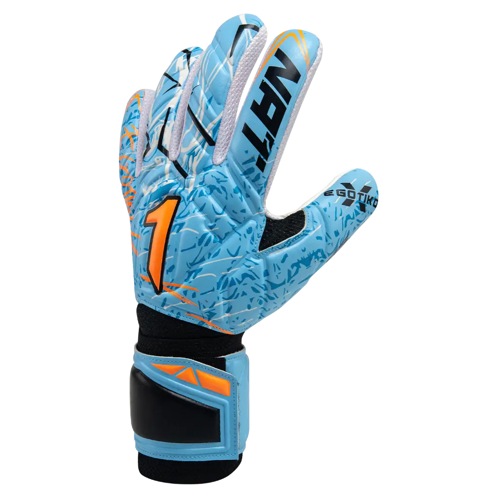 EGSI251-EGSA251 F1.webp