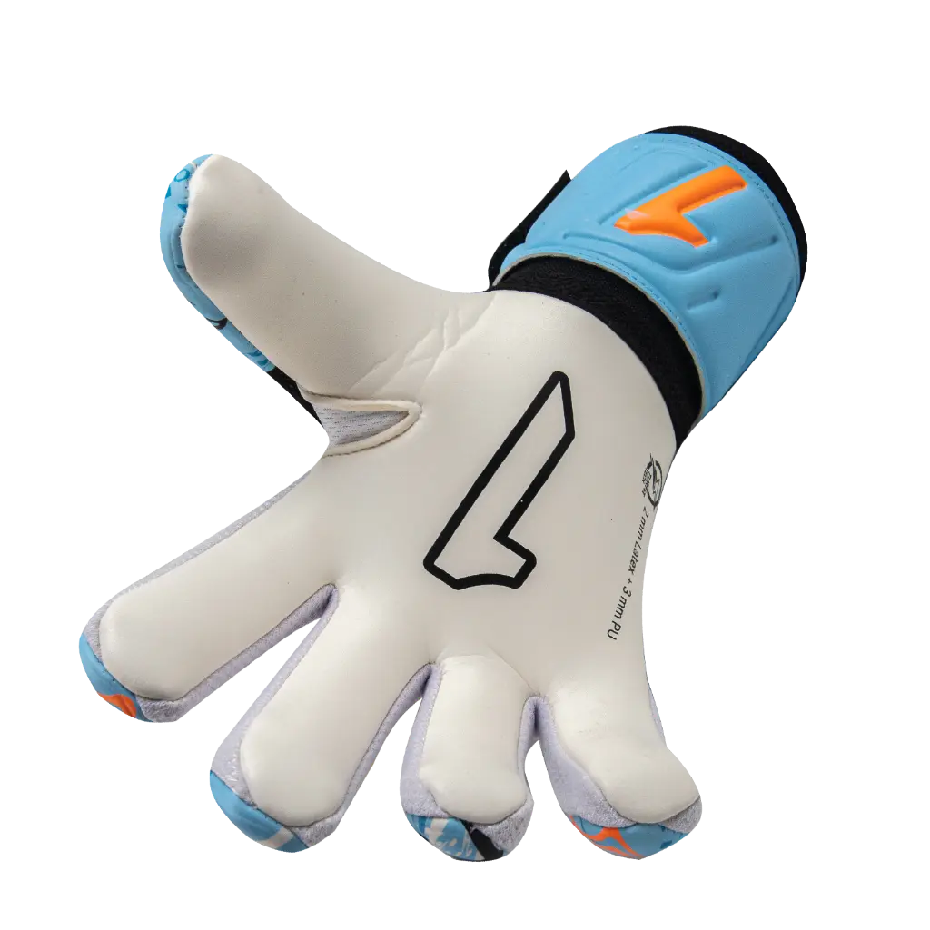 EGSI251-EGSA251 P3.webp